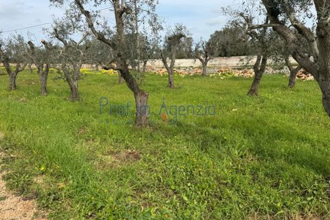 Villa i Ostuni, Brindisi, Ostuni - € 735.000 | Ref: 172862 - foto 13
